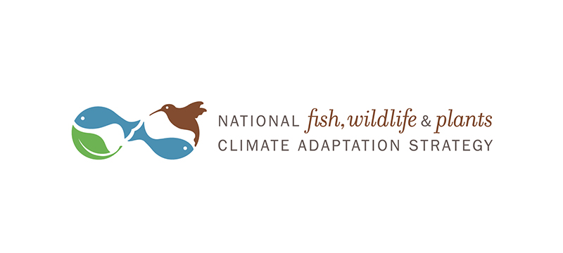Logo design for a climate adaptation initiative. Allegro Design.